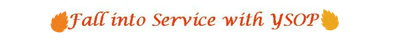 fall into service 2